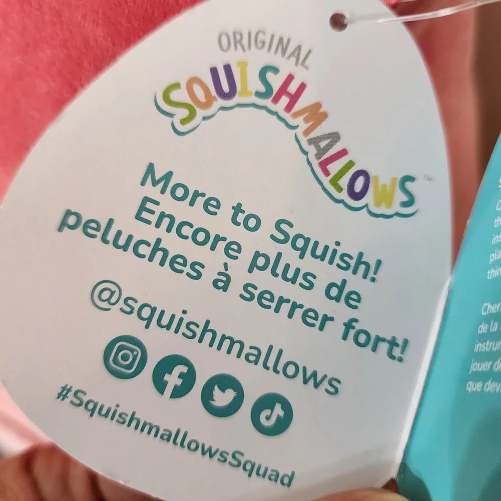 Squishmallows embrace delightful